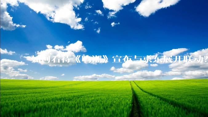 如何看待《鸣潮》宣布与京东展开联动？