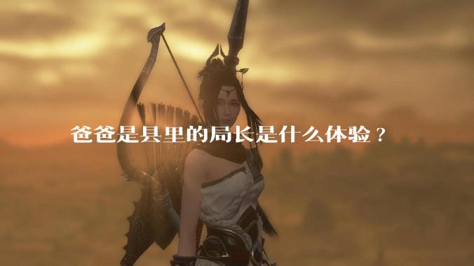 爸爸是县里的局长是什么体验?