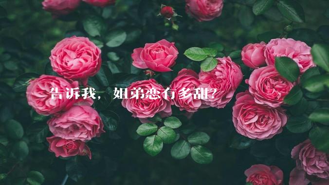 告诉我，姐弟恋有多甜？